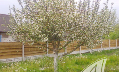 Купить дом, Большие Лепесы, Буховичский с/с, 7.67 соток. Фото 21