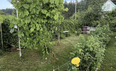 Купить дом в деревне, Гаевка, Виноградная, 98, 10 соток. Фото 7