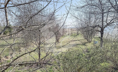 Купить дом, Алеховка, Центральная ул., 15 соток. Фото 15