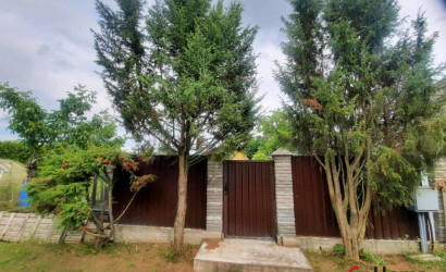 Купить дачу, Колос, 7 соток. Фото 10