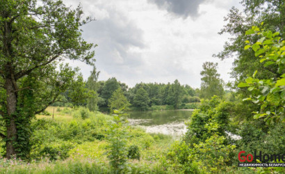 Купить участок, Василевщина, Центральная ул., 12, 22.2 соток. Фото 17