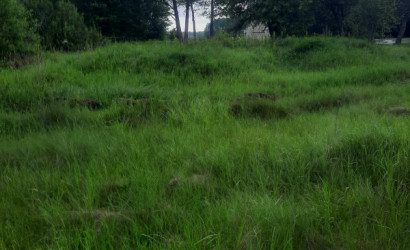 Купить участок, Колпаки, Центральная 22, 25 соток. Фото 5