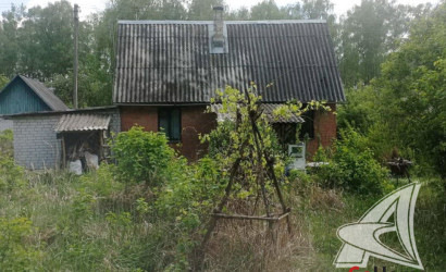 Купить дачу, Брест, Чернавчицкий с/с, 9.82 соток. Фото 9