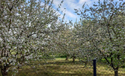 Купить дом, Башни, Садовая, 20.6 соток. Фото 10