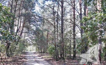 Купить дом, Домачево, Домачевский с/с, 23.58 соток. Фото 12