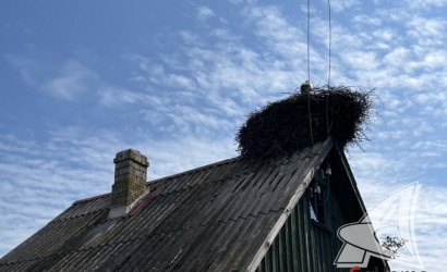 Купить дачу, Брест, Чернавчицкий с/с, 5 соток. Фото 8