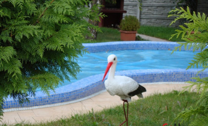 Купить коттедж, Гродно, Гродно, ул. Дальняя. Дом 1/2, 8.1 соток. Фото 3