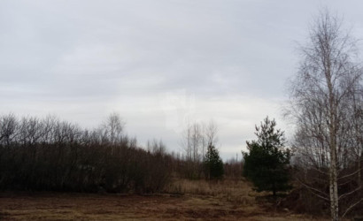 Купить участок, Проходы, 19.4 соток. Фото 8