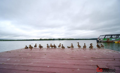 Купить 4-комнатную квартиру, Минск, Ратомская ул., 26 (Центральный район). Фото 33