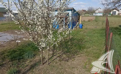 Купить участок, Брест, Мухавецкий с/с, 8.04 соток. Фото 6