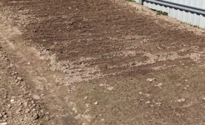 Купить дом, Великая Липа, Ленина 1, 19 соток. Фото 4