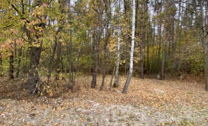 Купить участок, КВЕТКА 92, 8 соток. Фото 6