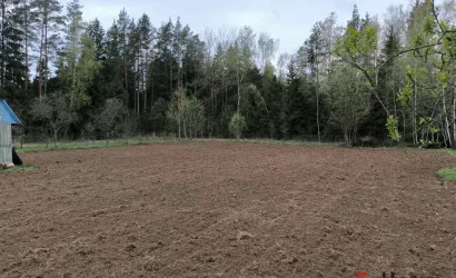  Лютка(с/т Автозаводец)