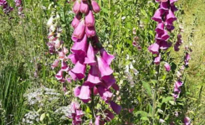 Купить участок, Горки-1, 10 соток. Фото 1