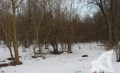 Продажа склада, Петровичи,  0 кв.м.. Фото 6