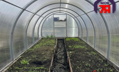 Купить участок, Новые земли, 7.52 соток. Фото 8