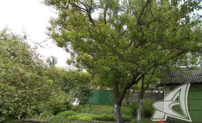 Купить дом, Брест, Брест-восточный, 4.88 соток. Фото 20