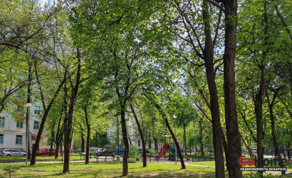 Купить 2-комнатную квартиру, Минск, Независимости просп., 78(Первомайский район). Фото 49