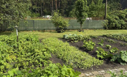 Купить дом в деревне, Гаевка, Виноградная, 98, 10 соток. Фото 9