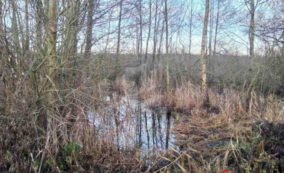 Купить дом, Убель, Речная ул., 2, 25.1 соток. Фото 11