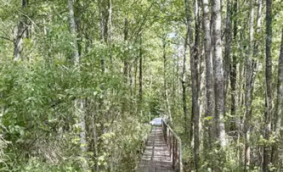 Купить коттедж, Малиновка, 20 соток. Фото 3