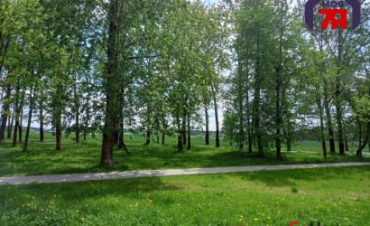 Купить 1-комнатную квартиру, Большевик, Южная ул., 9. Фото 18