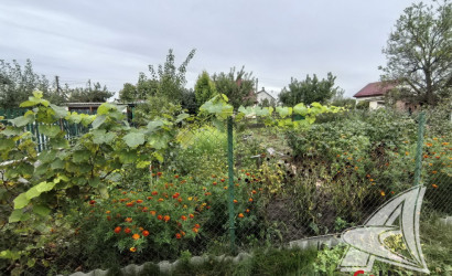 Купить дачу, Брест, Мухавецкий с/с, 4.15 соток. Фото 19