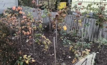 Купить дачу, Брест, Мухавецкий с/с, 5 соток. Фото 11