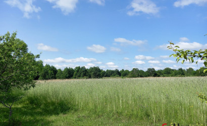 Купить дом, Двор-Гомель, Школьная ул., 6, 25 соток. Фото 4