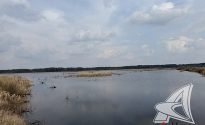 Продажа склада, Гусак,  1460.1 кв.м.. Фото 14