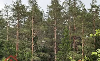  2-этаж.(41.9 м2), Здоровье-67