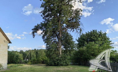 Купить дом, Малые Радваничи, Радваничский с/с, 18.18 соток. Фото 6