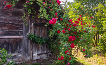 Купить дом в деревне, Деменичи, Центральная, 25 соток. Фото 18