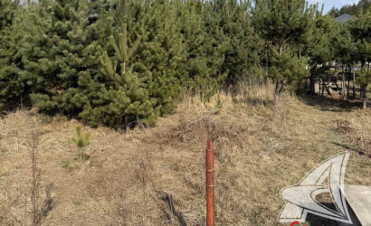 Купить участок, Жабинка, г. Жабинка, 12.17 соток. Фото 1