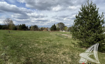 Купить участок, Пашуки, Новицковичский с/с, 25 соток. Фото 3