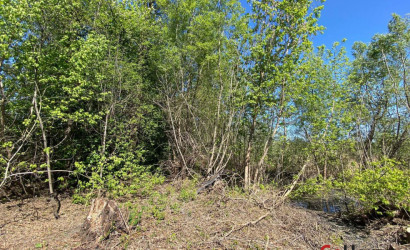 Купить участок, Дорожник ДСТ-2, 14.8 соток. Фото 5