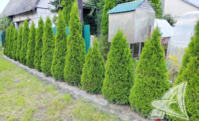 Купить дом, Брест, Речица, 5.58 соток. Фото 35