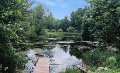 Купить дачу, Заря, 5 соток. Фото 15