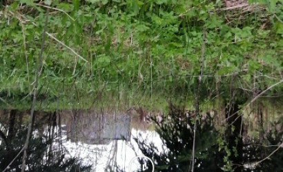 Купить дом, Боровляны, Лесная , 25 соток. Фото 2