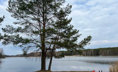 Купить участок, Будачи, 45 соток. Фото 2