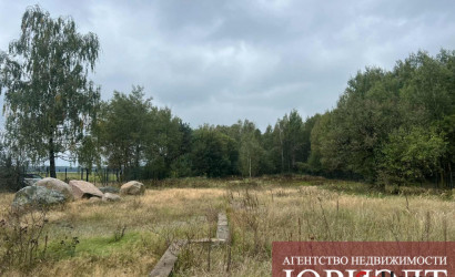 Купить участок, Малые Радваничи, Советская, 25 соток. Фото 4