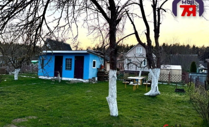 Купить дом в деревне, РУБИН-2001, 10 соток. Фото 20