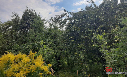 Купить участок, Винорово, Лесная ул., 29, 22 соток. Фото 15