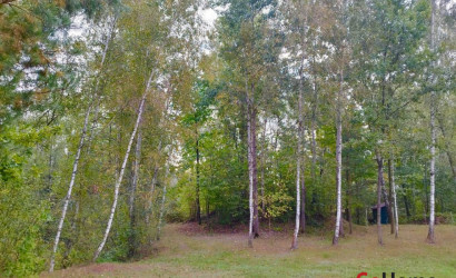 Купить дом, Новые Лыщицы, 23.5 соток. Фото 8