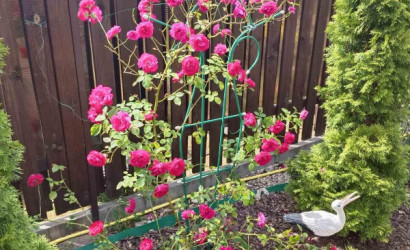 Купить дом в деревне, Стройиндустрия, 4.95 соток. Фото 15