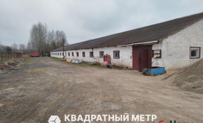 Аренда склада, Миколка, от 100 до 800 кв.м.. Фото 1