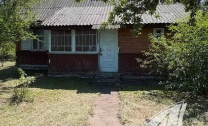 Купить дом в деревне, Подлужье, Домачевский с/с, 25 соток. Фото 2