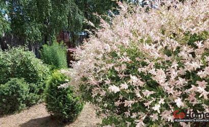 Продажа склада, Лида, 1-й переулок Александра Невского, 1,  471.1 кв.м.. Фото 14