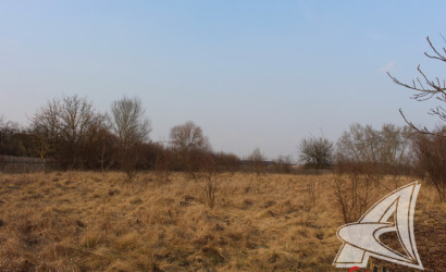 Купить участок, Зеленец, Чернавчицкий с/с, 48.97 соток. Фото 8