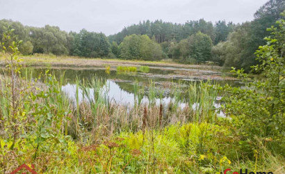 Купить участок, Приселки, Центральная, 9, 16.66 соток. Фото 18